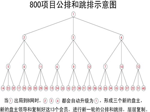 公排系统三级分销制作-郑州直销公排系统开发-郑州公排系统开发