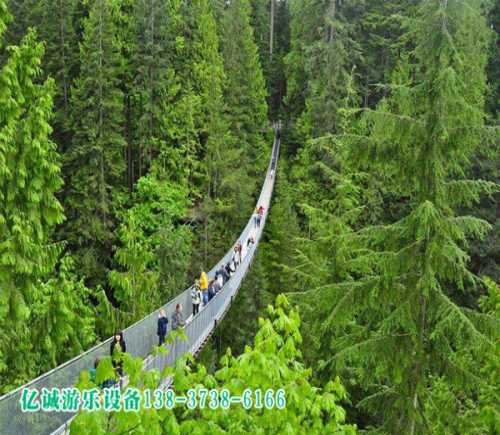 树上丛林飞跃游玩项目 高空丛林飞跃厂家 高空丛林飞跃报价
