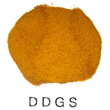 长期求购DDGS麸皮油糠