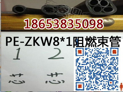 晋城PE-ZKW8*8阻燃矿用束管量大从优