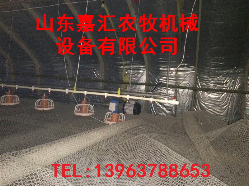 嘉汇公司新品鸡鸭料线