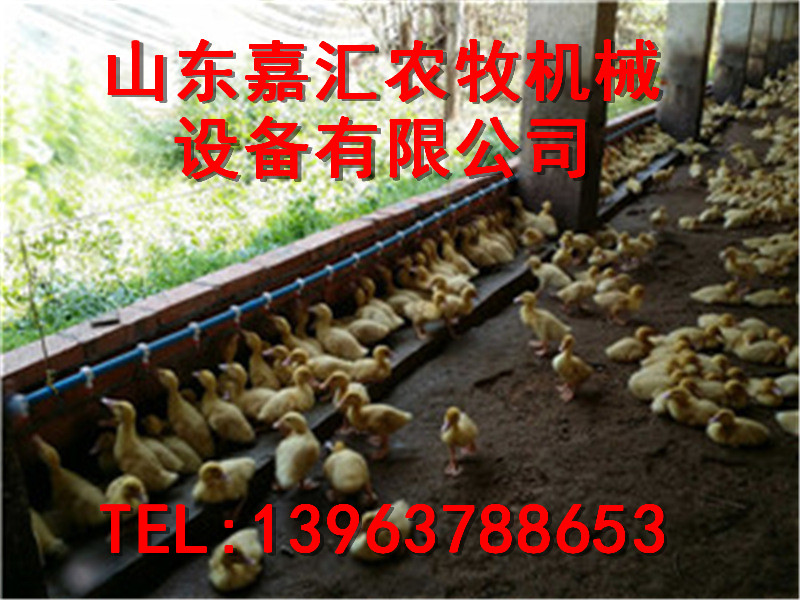 嘉汇公司新品鸡鸭饮水器