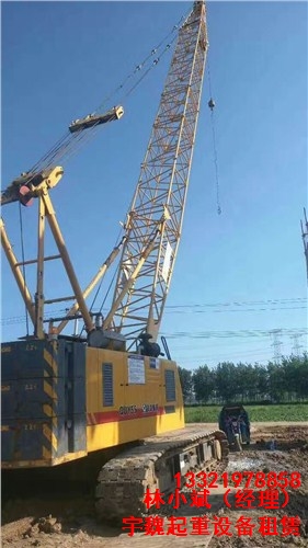 益阳履带吊出租 沅江履带吊起重机出租 彬州履带吊出租 宇魏供
