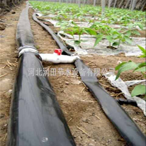 河北沧州市沧县大棚蔬菜滴灌 滴灌带 灌溉软带供货厂家