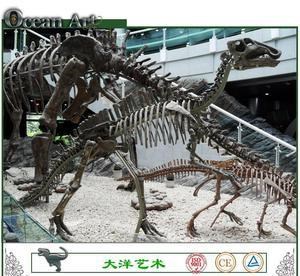 优质恐龙化石/逼真恐龙化石厂家地址/逼真恐龙化石