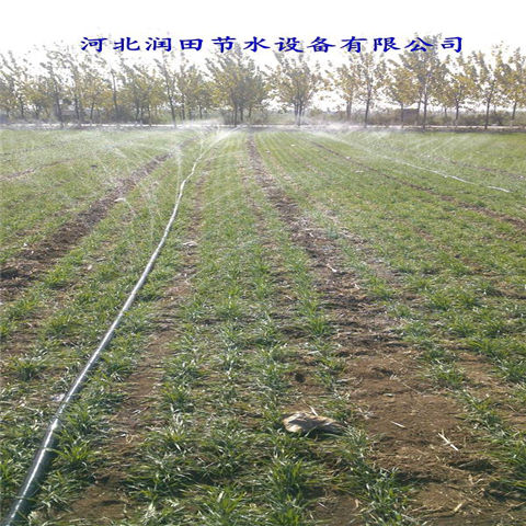 湖南邵阳市辣椒大田微喷带质量好价格低廉