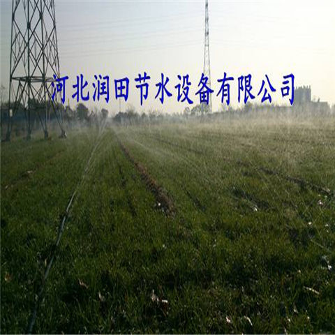 实惠巨献 湖南邵阳市大田微喷带实力厂家