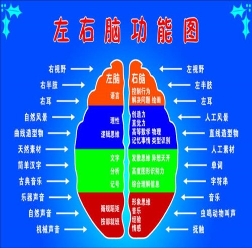 增强记忆力培训机构 专业提高记忆力方法 西安学生记忆力培训机构