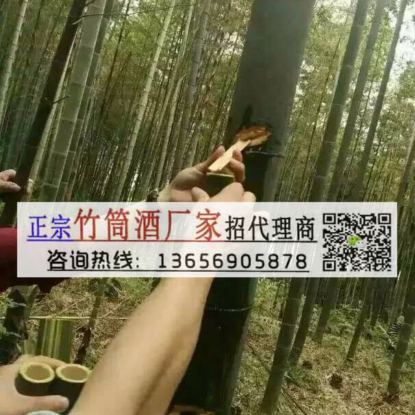 客家生态竹筒酒 湖北咸宁荆门随州活竹酒加盟费用