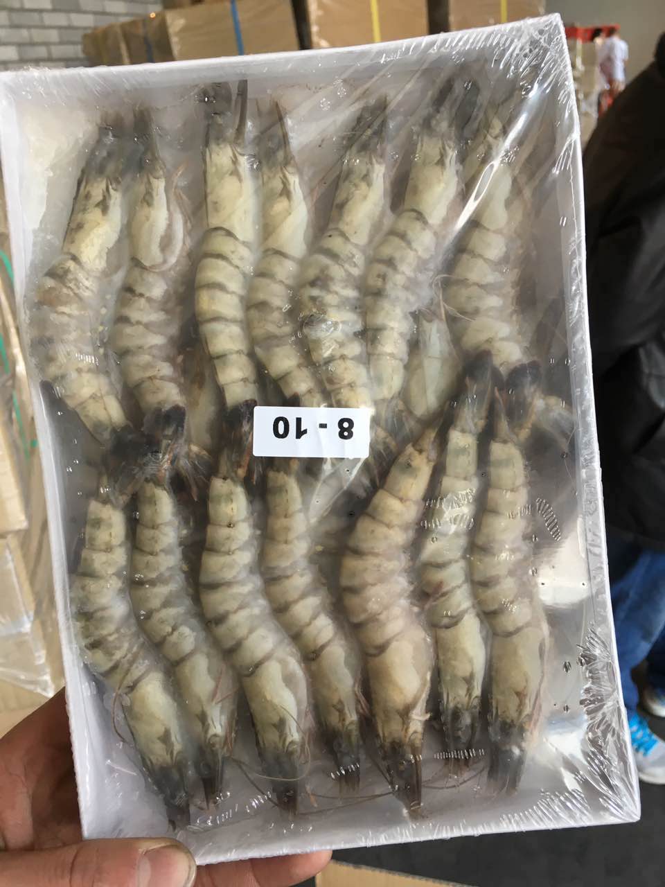 马来西亚进口冷冻黑虎虾南 虾