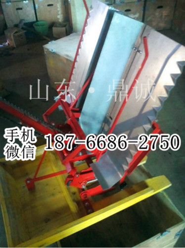 江西鹰潭农田专用小型手摇式插秧机 人力步退式水稻种植机械 快速两行插秧机