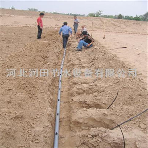 梨树节水果树滴灌 湖南株洲市山楂树滴灌 小管出流