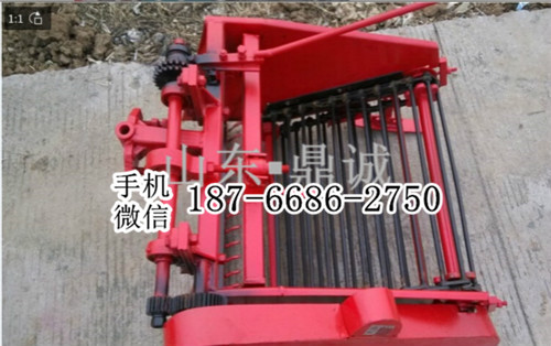 江西新余汽油拖拉机牵引后挂式土豆地瓜芋头收获机 根茎块状作物丰收机械