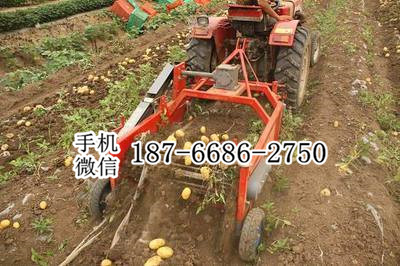 内蒙古乌兰察农产品收获机 机械式土豆地瓜洋芋头收获机 田园管理机带动薯类丰收设备
