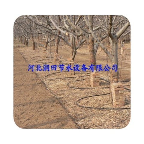 桃树灌溉 湖南株洲市节水耐用果树滴灌