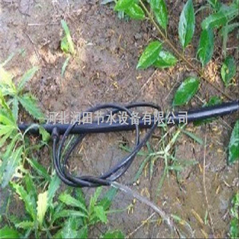 湖南株洲市小管出流设备滴灌厂家 果树滴灌