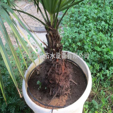 小管出流系统造价 湖南株洲市果树滴灌