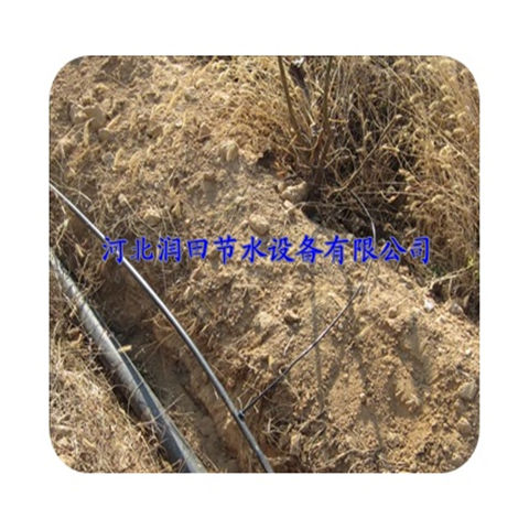果树滴灌技术 涌泉灌 湖南株洲市小管出流厂家