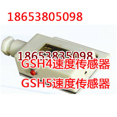 甘肃矿用GSH5速度传感器实物图