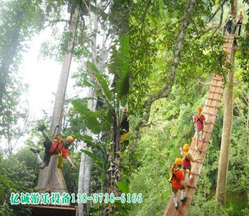 树上丛林飞跃_河南丛林飞跃哪家好_户外丛林飞跃型号