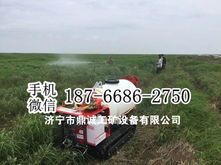 广东潮州自走履带式喷药机 300L打药桶喷雾机 农用风送打药机
