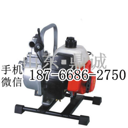 湖南衡阳大量供应汽油机水泵图片 小型农作物灌溉抽水机价格 1-4寸自吸泵