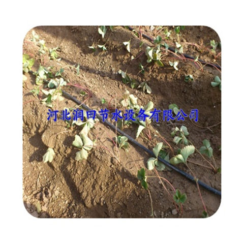 河南郑州西红柿大棚滴灌管 实力厂家