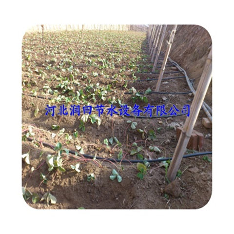 水肥一体化滴灌管 河南郑州蔬菜滴灌
