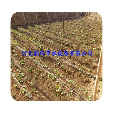 河南郑州红薯滴水管道 PE滴灌管厂家促销