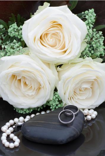 哪里有白玫瑰-特价白玫瑰联系方式-优质白玫瑰购买