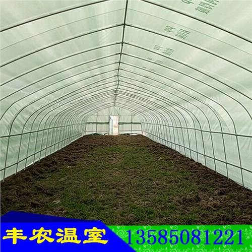 苏州蔬菜大棚供应商苏州彩钢大棚定制苏州海水养殖大棚丰农供应