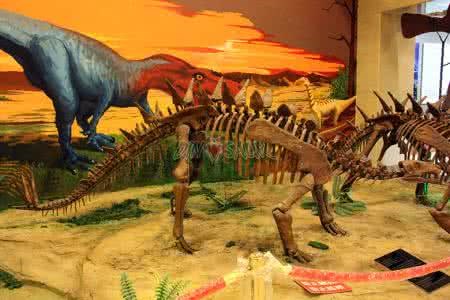 恐龙化石出租-四川恐龙化石-哪里有恐龙化石厂家地址