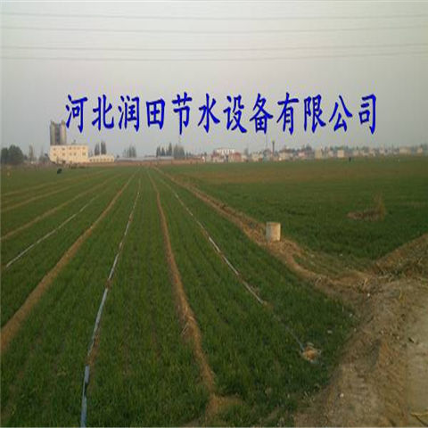 陕西渭南市大田蔬菜微喷带【规格 图片】