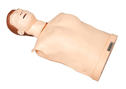 半身心肺复苏模拟人简易型ZH/CPR173
