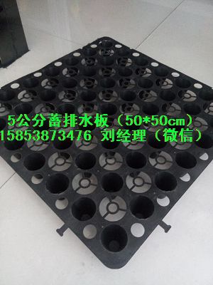 赣州绿化排水阻根板∠60高排水板价格15853873476