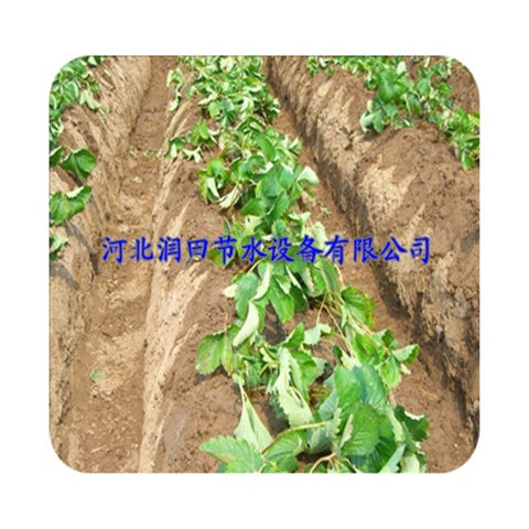 西红柿滴灌管 山西太原膜下滴灌设备