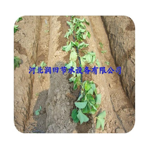 滴灌设备PE管铺设厂家 山西太原红薯滴灌管