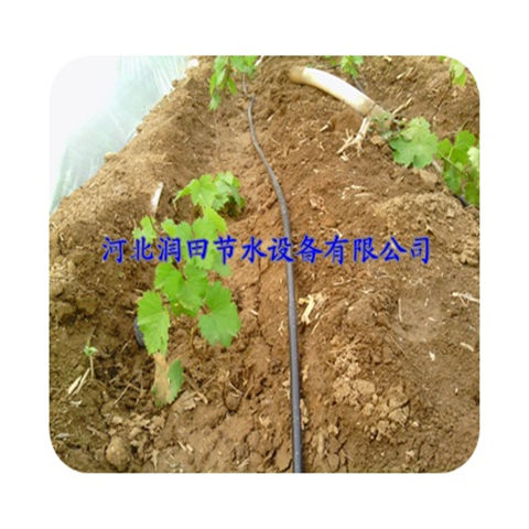 长期大量供应pe管 山西太原葡萄滴灌管