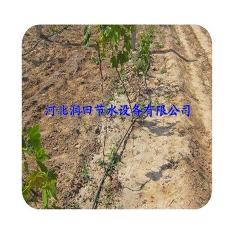 滴灌管 山西太原黄瓜大大田滴灌 膜下滴灌