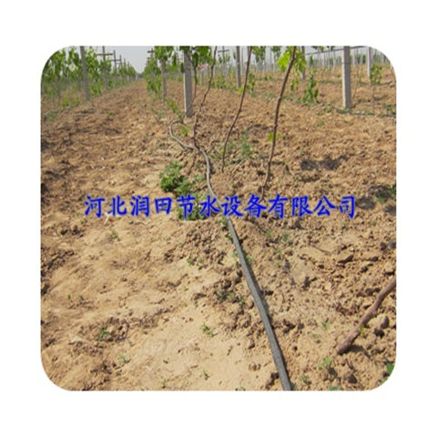 山西太原蔬菜滴灌 滴灌管厂家出售 膜下滴灌设备