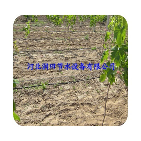 山西太原花卉滴灌 膜下滴灌寿命长滴灌管