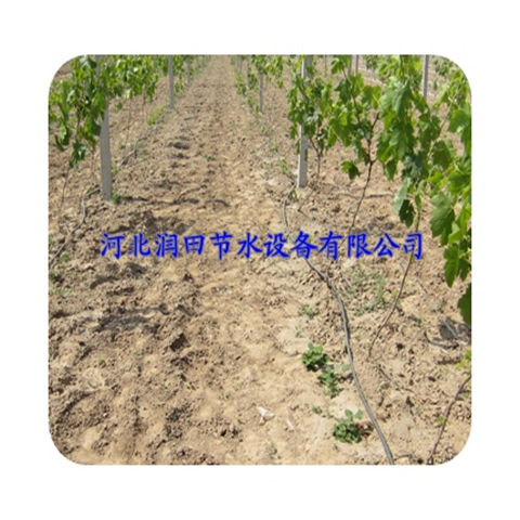 红薯大田滴灌管 山西太原滴灌PE管