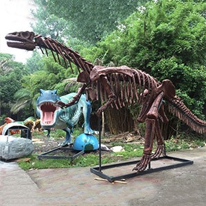 自贡恐龙骨架模型制作_大型恐龙骨架模型厂家_恐龙骨架模型制作