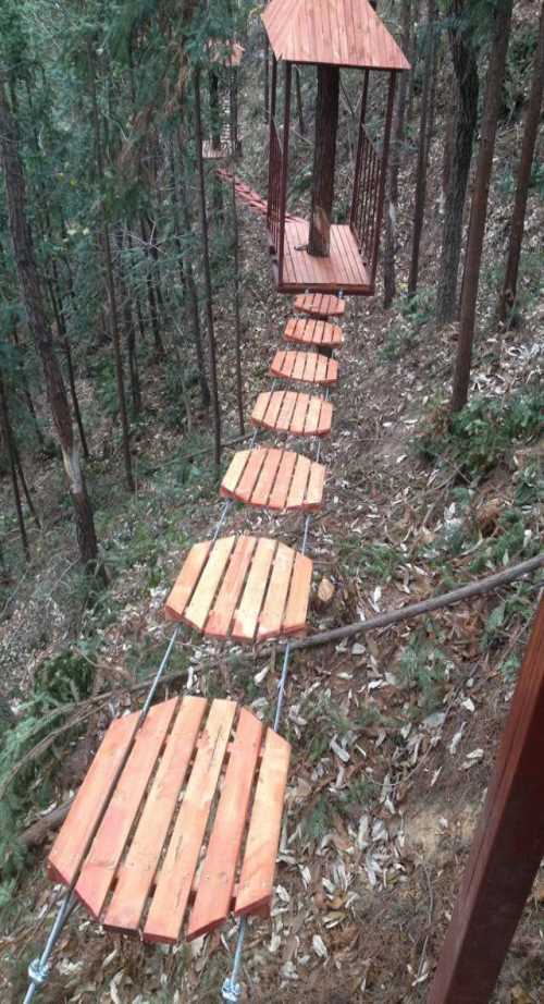 高空丛林穿越哪家好_高空丛林穿越供应商_景区丛林穿越规格定制