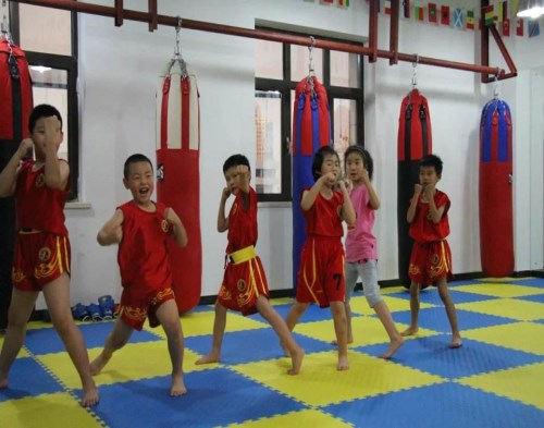 苏州独墅湖小学生武术辅导班/苏州南环小学生武术托管班/小学生武术辅导班