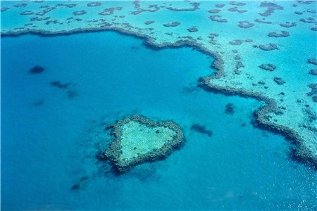 深圳贝类主题旅游 贝类主题旅游供应 贝壳红供