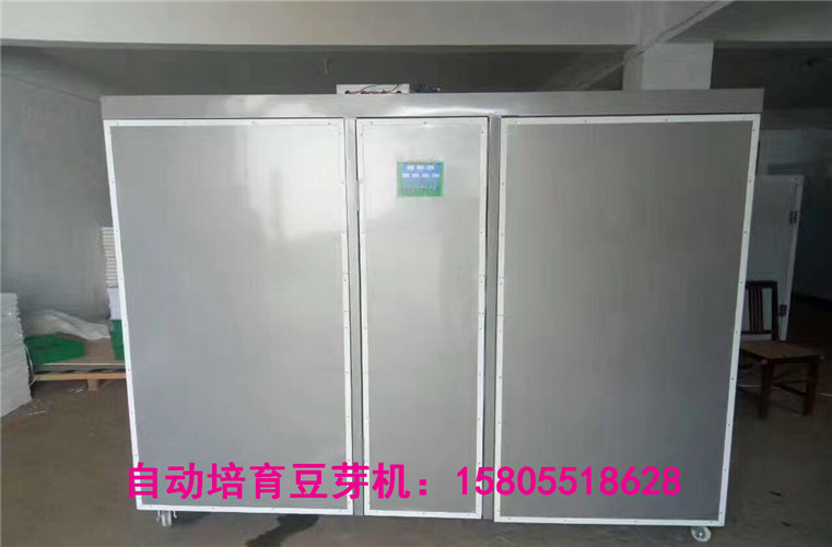豪华版箱式豆芽机，全自动豆芽机规格