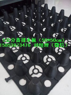 惠州）屋顶绿化排水板‰30高蓄排水板15853873476
