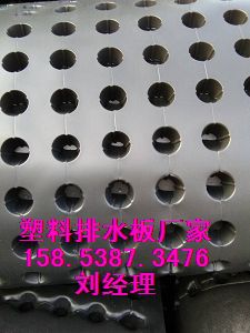 惠州）屋顶绿化排水板‰30高蓄排水板15853873476