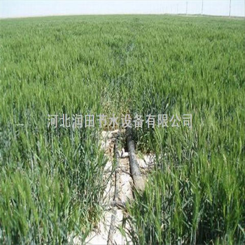滴灌带技术 江苏南京市贴片滴水带技术厂家